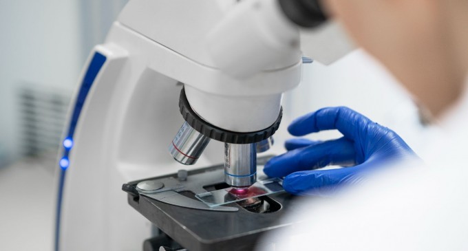 Ce înseamnă limfocite mărite