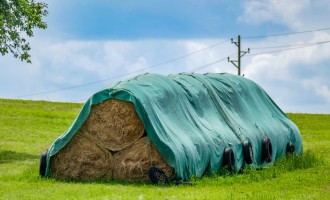 Depozitarea corectă a baloților: cum să asiguri calitatea furajelor pe termen lung?