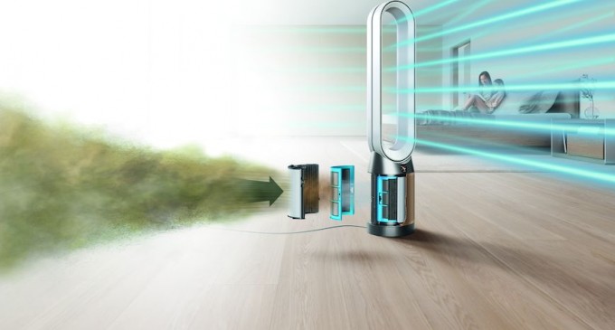 Aproape 13.5 milioane de oameni din Europa suferă de alergie la ambrozie. Cum pot fi controlate simptomele neplăcute