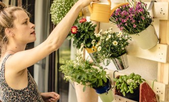 Cum să îngrijești plantele în sezonul cald: 5 sfaturi pentru iubitorii de natură verde