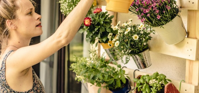 Cum să îngrijești plantele în sezonul cald: 5 sfaturi pentru iubitorii de natură verde