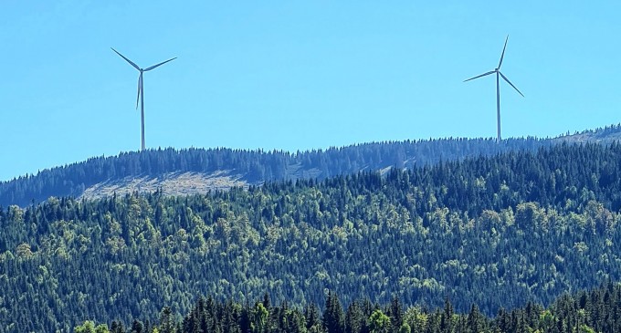 Tensiunile internaționale frânează tranziția către o energie curată, spune șeful AIE