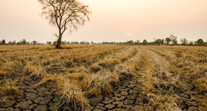 Luna trecută a fost a doua cea mai caldă lună august de când există date meteo complete în România