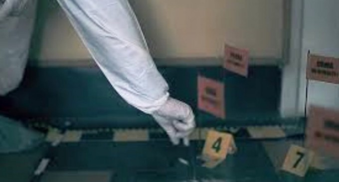 Imediat după moartea Sharei, polițiștii din Dumbrava Roșie, intenționat sau nu, au compromis grav ancheta – Ziarul Incisiv de Prahova