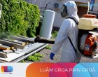 Solutii DIY pentru Dezinsectia cu Plosnite de Pat: Ce Functioneaza?