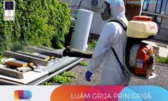 Solutii DIY pentru Dezinsectia cu Plosnite de Pat: Ce Functioneaza?