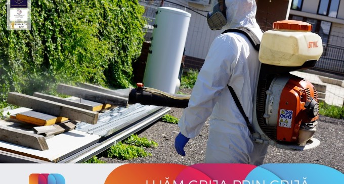 Solutii DIY pentru Dezinsectia cu Plosnite de Pat: Ce Functioneaza?