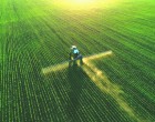 Agrohub.ro: O Sursă Esențială pentru Informații Agricole