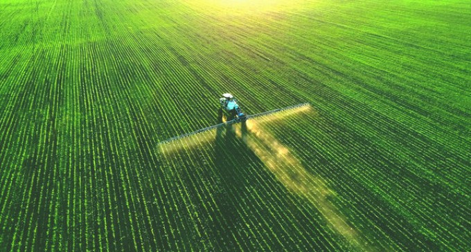 Agrohub.ro: O Sursă Esențială pentru Informații Agricole