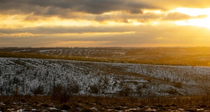 Cele mai eficiente erbicide pentru combaterea buruienilor de iarnă