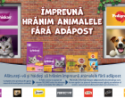 Mars sărbătorește Ziua Mondială a Animalelor și încurajează adopțiile de căței și pisici