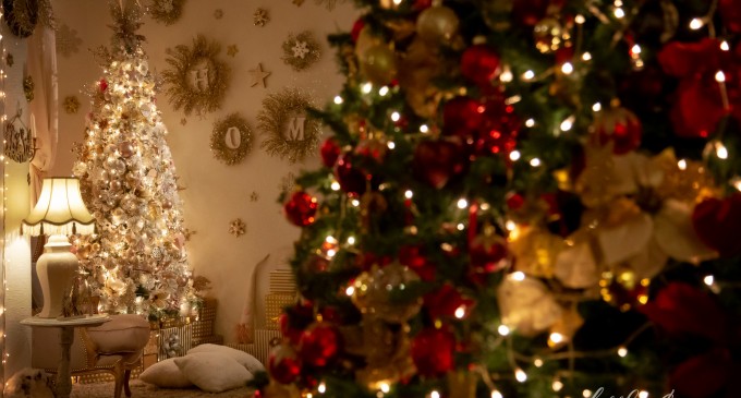 Magia Crăciunului Prinsă în Fotografii de Poveste: Studio Foto Crăciun București cu Alex Pasarelu