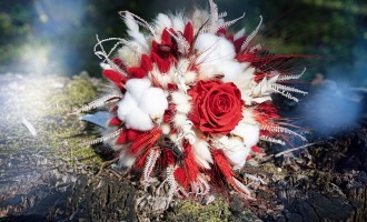 Sesiunea Foto de Toamnă: Magia Culorilor și Aromele Sezonului