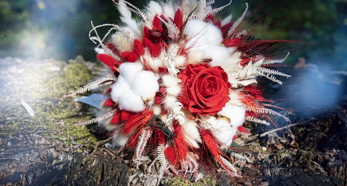 Sesiunea Foto de Toamnă: Magia Culorilor și Aromele Sezonului
