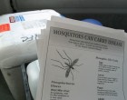 INSP: 103 cazuri de infecţie cu virusul West Nile, înregistrate de la începutul perioadei de supraveghere/ Au fost raportate 12 decese