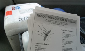 INSP: 103 cazuri de infecţie cu virusul West Nile, înregistrate de la începutul perioadei de supraveghere/ Au fost raportate 12 decese