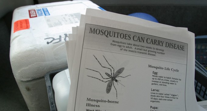 INSP: 103 cazuri de infecţie cu virusul West Nile, înregistrate de la începutul perioadei de supraveghere/ Au fost raportate 12 decese