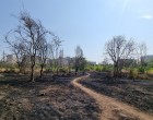 Prefectul Capitalei atacat în instanță dispoziția de retrocedare a celor 11 hectare din Parcul IOR: Retrocedarea din 2005 a fost abuzivă