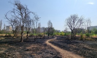 Prefectul Capitalei atacat în instanță dispoziția de retrocedare a celor 11 hectare din Parcul IOR: Retrocedarea din 2005 a fost abuzivă