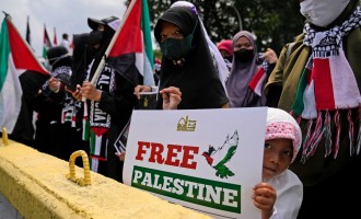 „Soluția celor două state”: Cine ar putea recunoaște însă un stat palestinian?