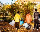Construiește un viitor mai sustenabil. Intră în competiția „Adoptă un Proiect” de la ING Bank România, care oferă finanțări în valoare de 315.000 de euro