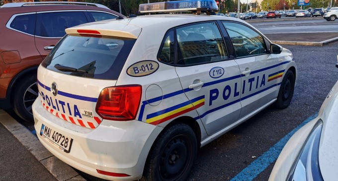 Cadavrele a 23 de de câini, descoperite pe un drum forestier din Gorj