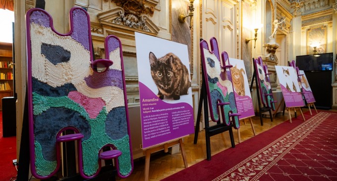 Miaunismul: un nou curent în artă inspirat de creativitatea pisicilor