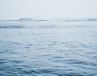 ​Oceanul stochează mai mult carbon decât se aștepta, potrivit unui studiu