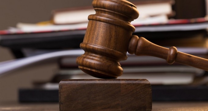 „Regina gunoiului” şi angajaţii săi, arestaţi pentru „cea mai mare crimă împotriva mediului” din Suedia