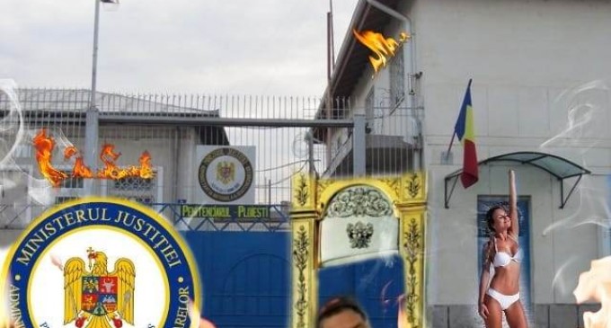 ZEUS cu pași mici spre noi infracțiuni!!!  (2)