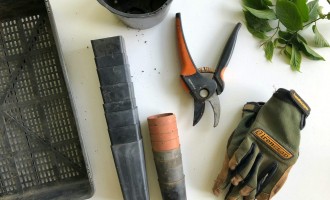 Investiții pentru succes – 5 echipamente simple, dar indispensabile pentru proprietarii de ferme de legume