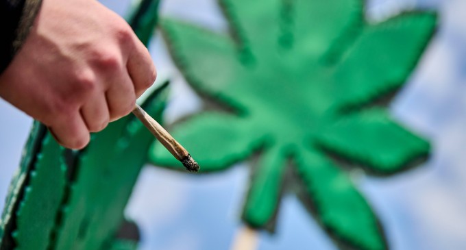 Legea celor 3 grame de iarbă. Mizele și pericolele primului pas românesc către eficientizarea războiului cu drogurile