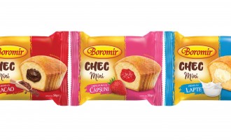 Noua Colecție de Chec Mini Boromir