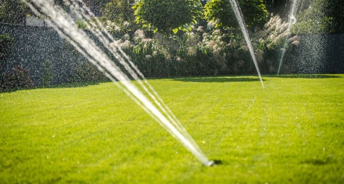 Care sunt cele mai eficiente sisteme de irigații pentru porumb?