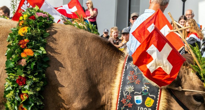 Elvețienii vor fi chemați la vot să decidă dacă populația țării trebuie limitată la 10 milioane de locuitori