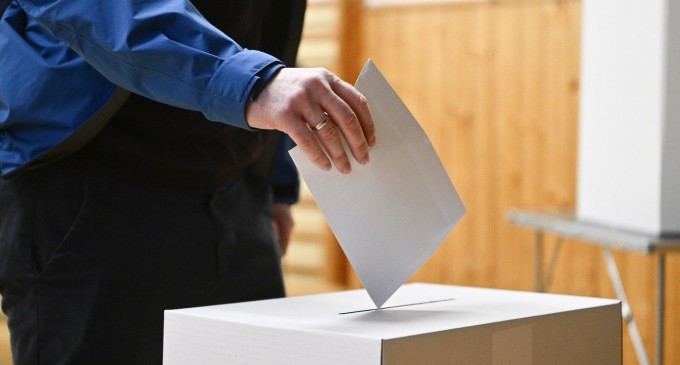 Puiul diabolic şi Câinele cu două cozi: Cele mai ciudate şase partide pentru care alegătorii pot vota la europarlamentare 2024