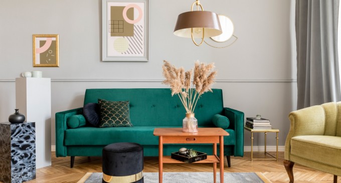 Lansarea a trei reviste online dedicate amenajărilor interioare și grădinăritului: o discuție cu fondatorul