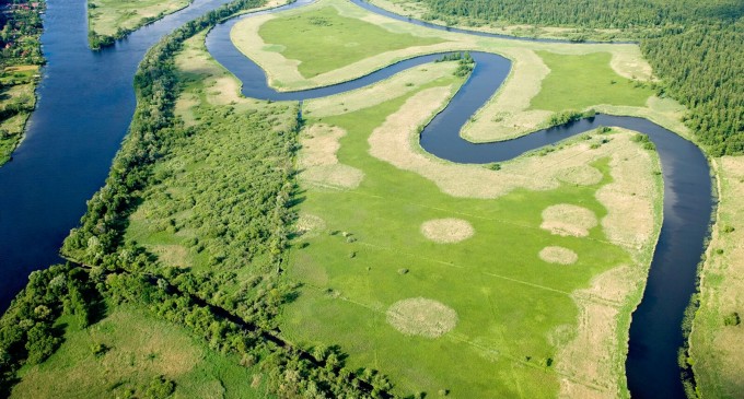 SGS lansează impact now pentru sustenabilitate