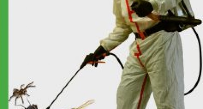 Cum sa tii toti daunatorii la distanta cu serviciile ddd