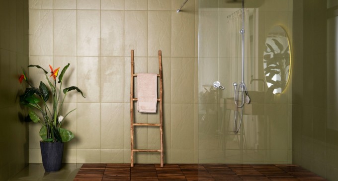 Modele elegante și practice de paravane de duș pentru un spațiu modern și stilat