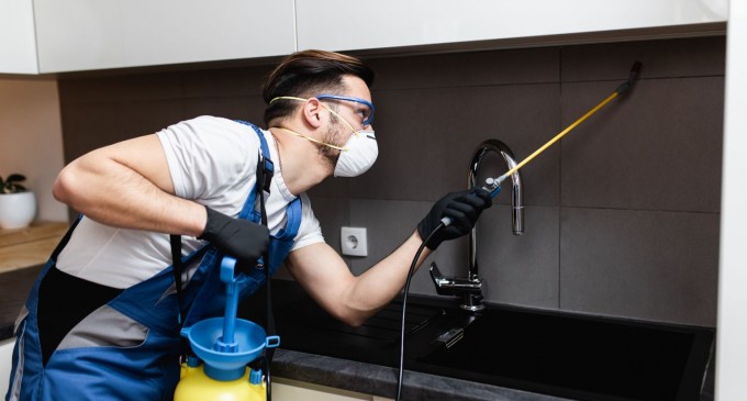 ​De ce pest control-ul de bloc nu are efect dacă vecinii nu colaborează