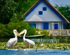 Călătorii în Delta Dunării: Cum să o vizitezi și lucruri de făcut