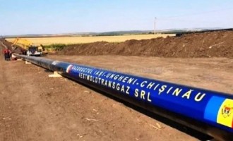 Transgaz: motor financiar solid și pilon regional de securitate energetică
