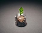 Analiza unui plan de sustenabilitate: bune practici și lecții învățate