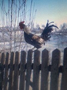 583324432_3167937570032660_2572908411056143656_n