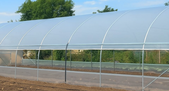 Tot mai mulți români transformă grădina într-o sursă reală de venit în 2026. Solariile devin investiții de familie, nu doar hobby