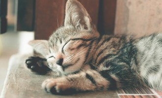 Cum să creezi rutina perfectă de seară pentru un somn odihnitor și calm