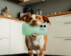 De Ziua Internațională a Animalelor de Companie, HONOR te ajută să surprinzi cele mai frumoase momente alături de companionul tău
