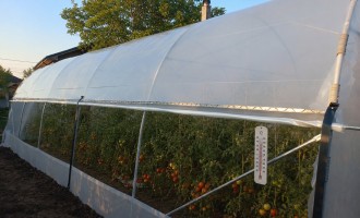 Canicula nu mai așteaptă luna iulie. Cum încearcă fermierii români să își protejeze culturile din solarii fără costuri imposibile