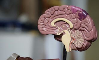 Minte limpede zi de zi: cum ai grijă de sănătatea cognitivă fără promisiuni false
